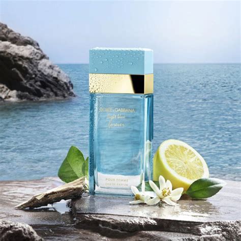 cheap light blue perfume dolce gabbana|generic light blue perfume.